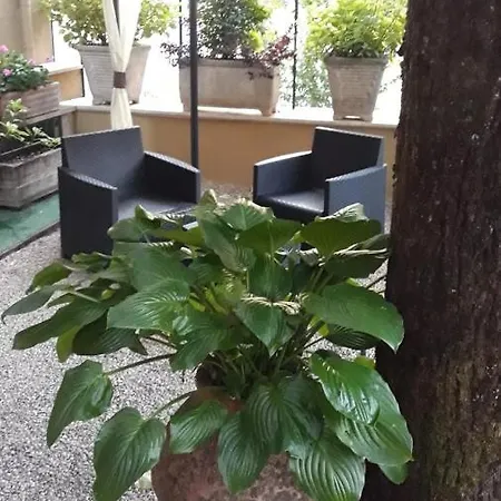 Delle Ortensie 3*