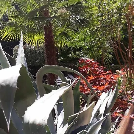 فندق Delle Ortensie 3*