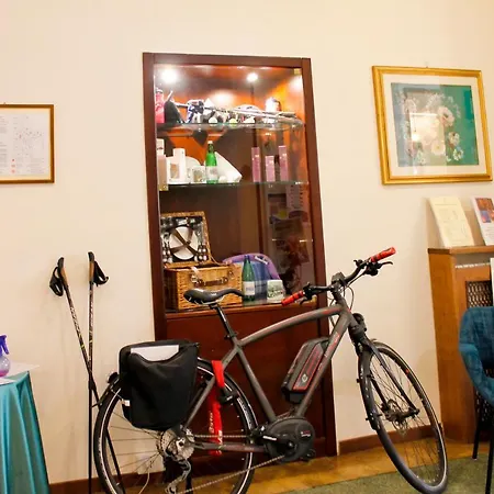 Delle Ortensie Hotel 3*