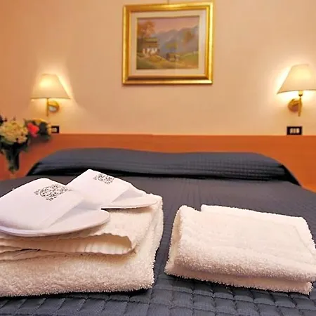 فندق Delle Ortensie 3*
