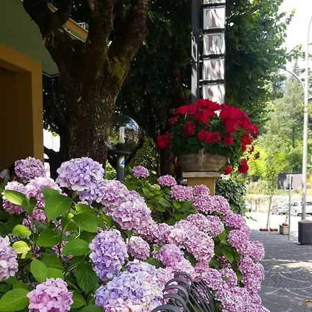 Delle Ortensie