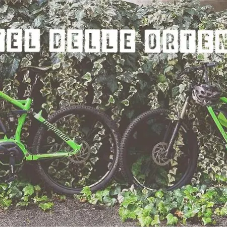 호텔 Delle Ortensie